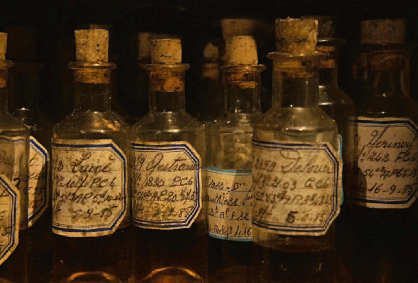 Spirit of Cognac: Rémy Martin, 300 Years of Savoir Faire