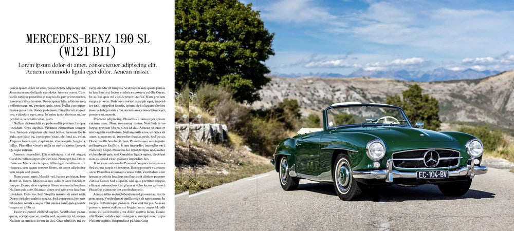 The Germans - Beautiful Machines