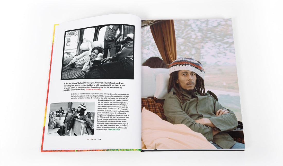 Rebel Music: Bob Marley & Roots Reggae,