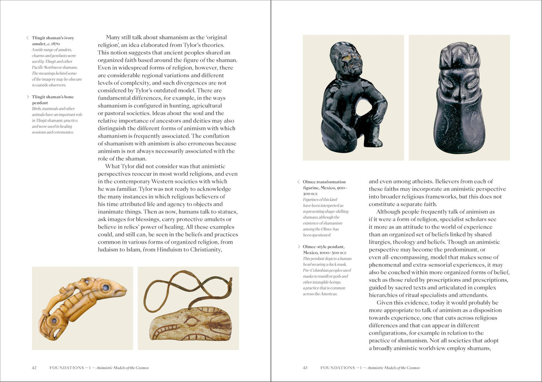 Shamans: The visual culture of animism, healing and journeys to other planes