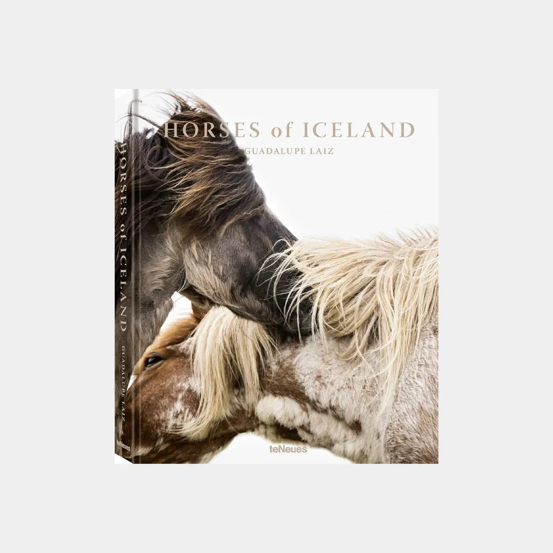 Horses of Iceland