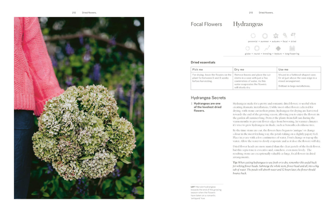Secrets from the Flower Farm: Growing abundant flowers in unpredictable conditions