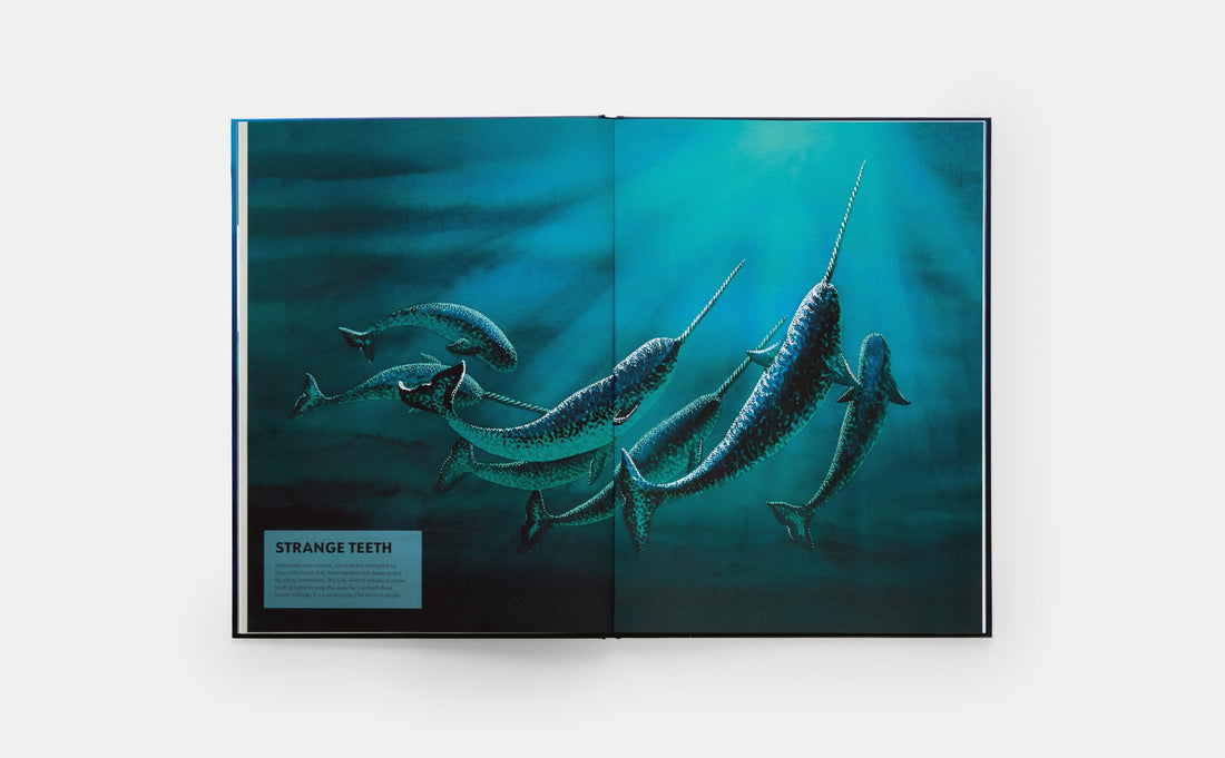 Mysteries of Marine Mammals