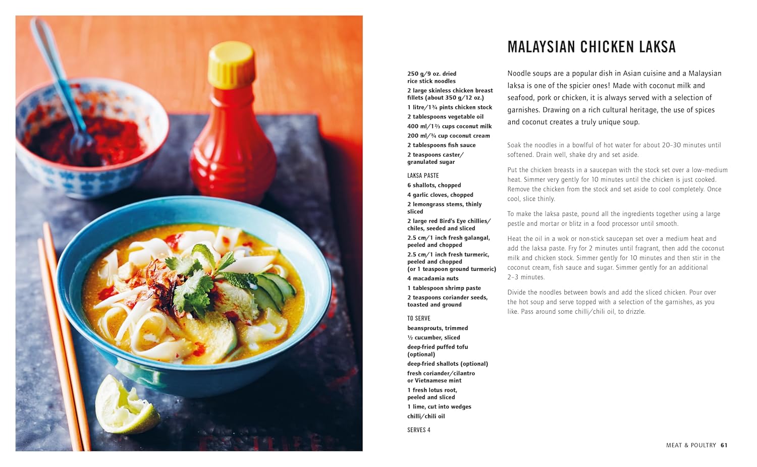 Laksa: 65 Recipes/ Asian Style Noodle Soups