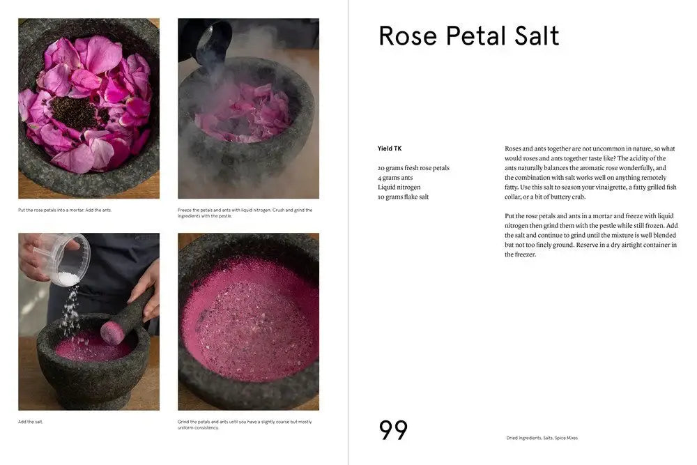 NOMA Guide to Building Flavour – Rene Redzepi