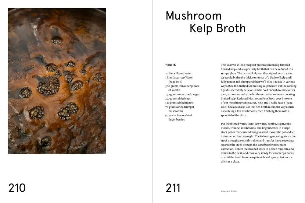 NOMA Guide to Building Flavour – Rene Redzepi