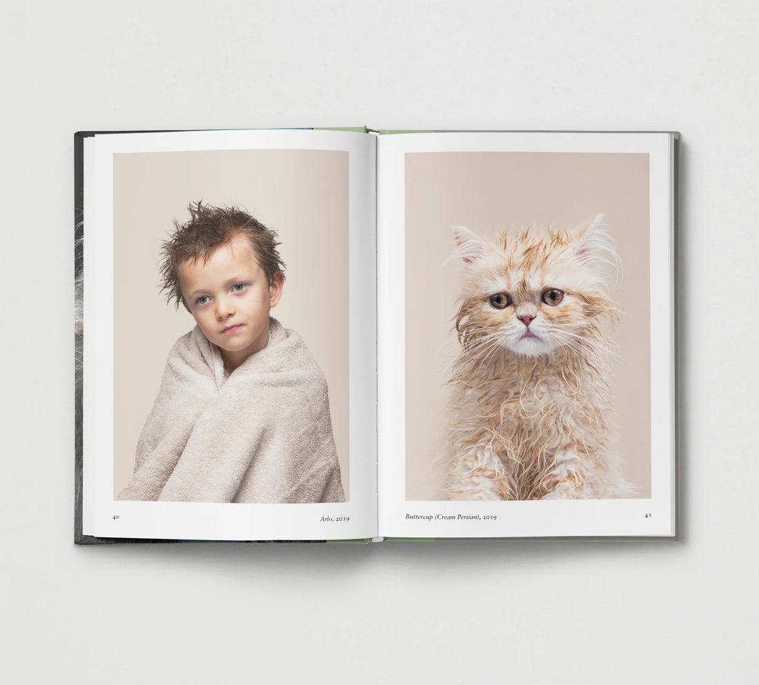 New Photography of the Cat.