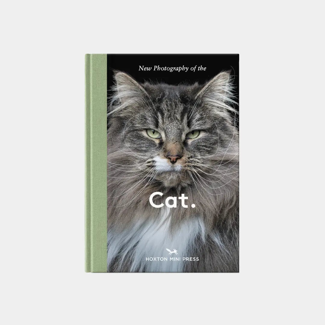 New Photography of the Cat. Obálka knihy Book Therapy