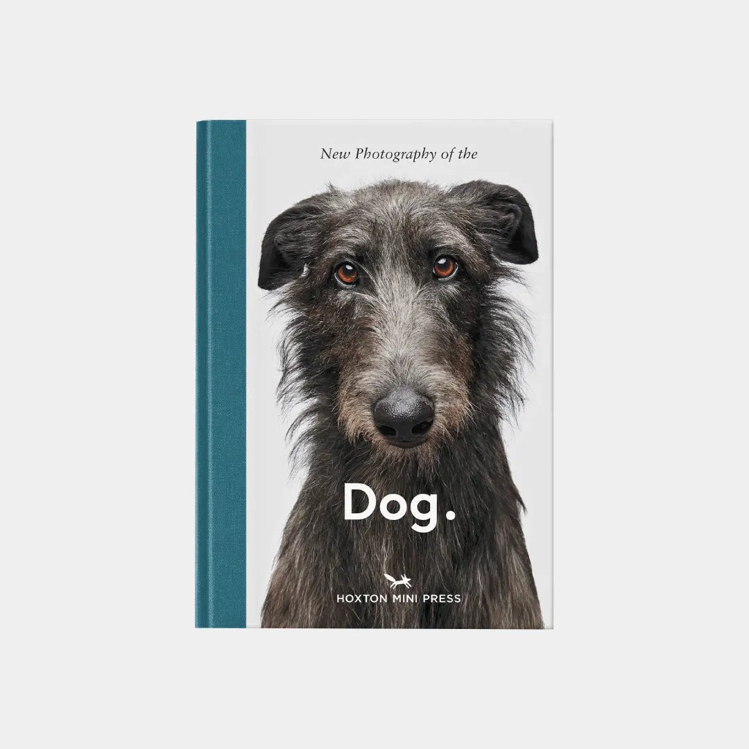 New Photography of the Dog. Obálka knihy Book Therapy