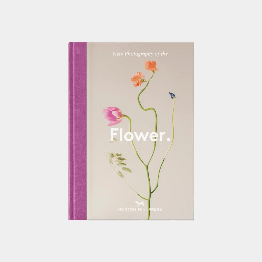 New Photography of the Flower.