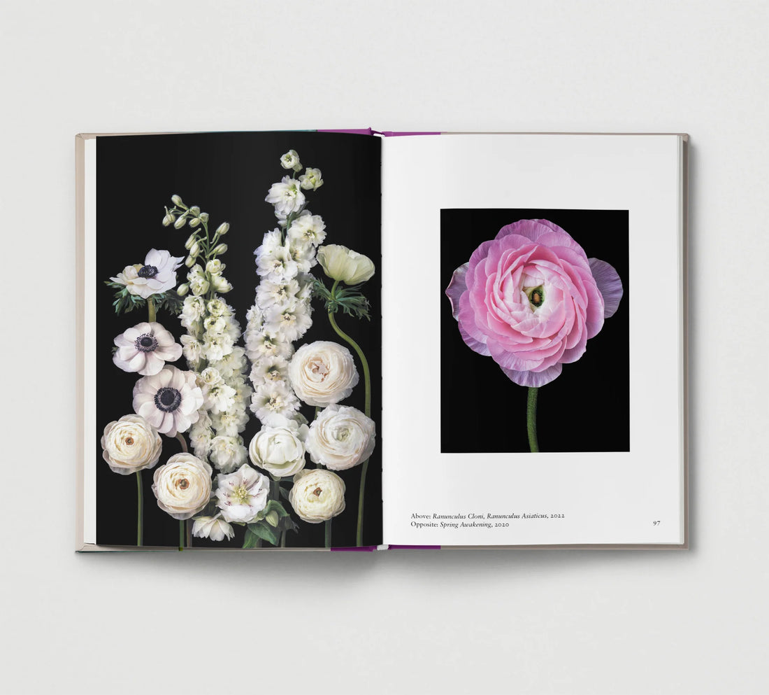 New Photography of the Flower.