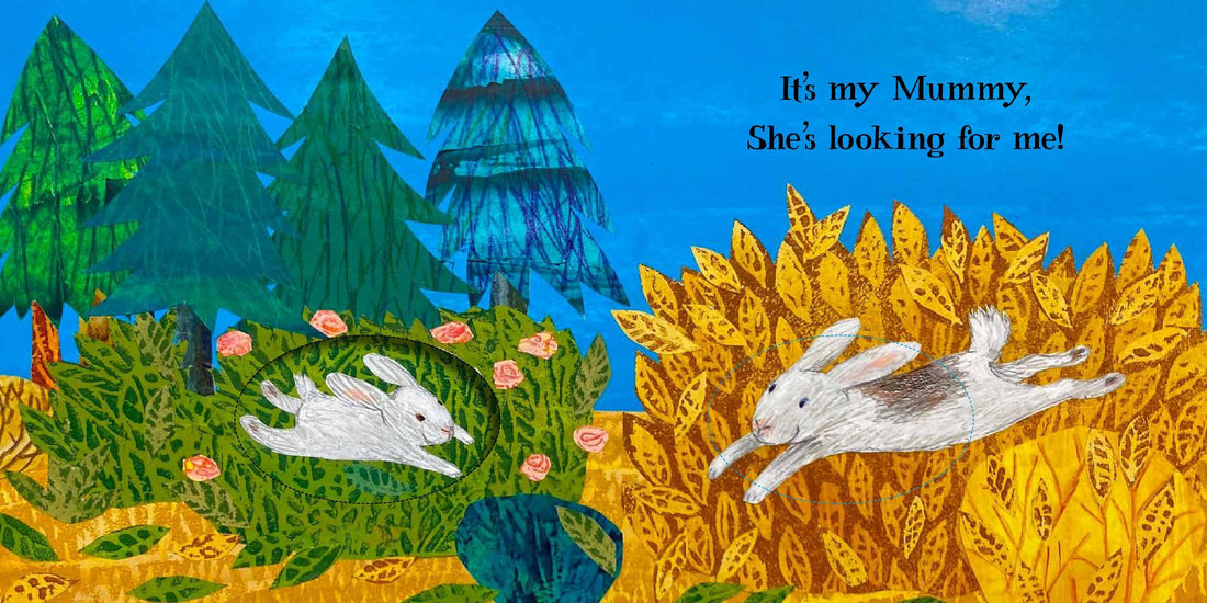Little Bunny - Petr Horáček