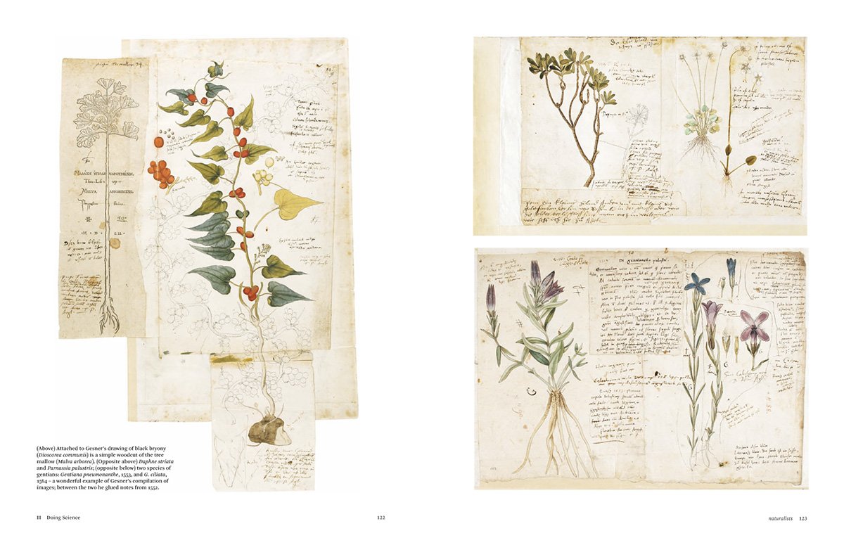 Botanical Sketchbooks