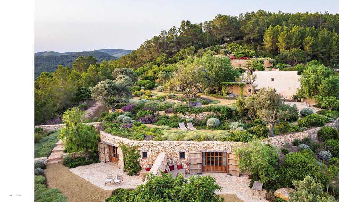 Visionary: Gardens and Landscapes for our Future