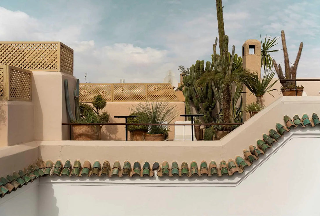 Rock the Kasbah