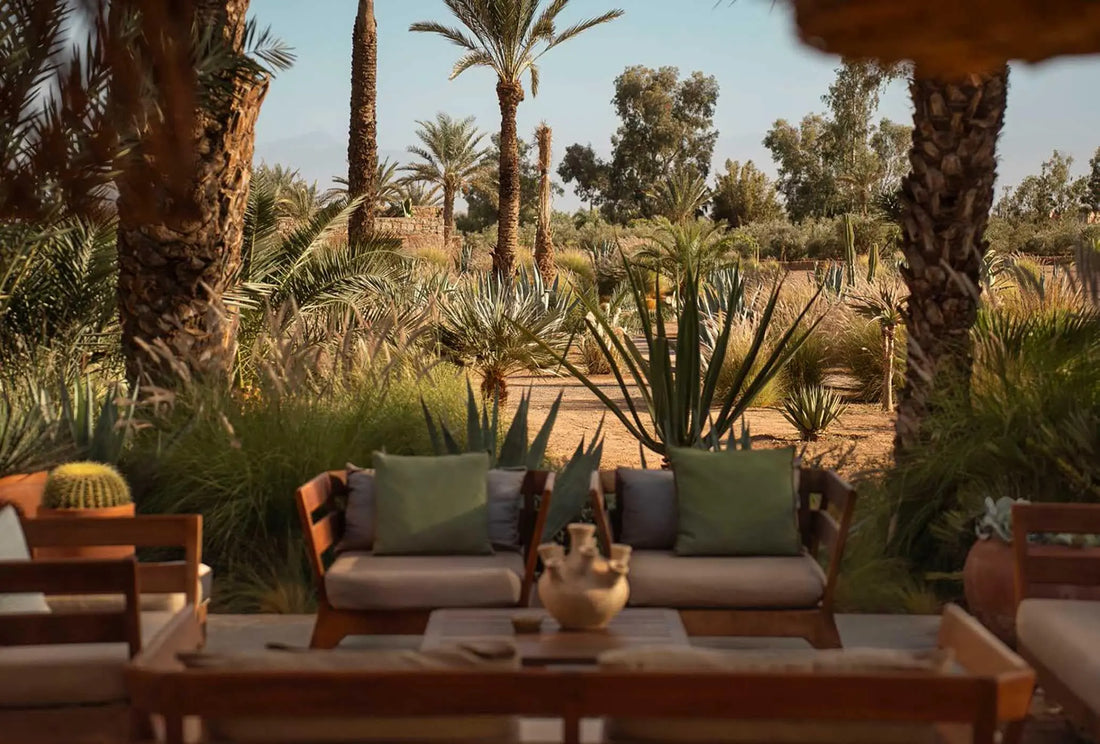 Rock the Kasbah