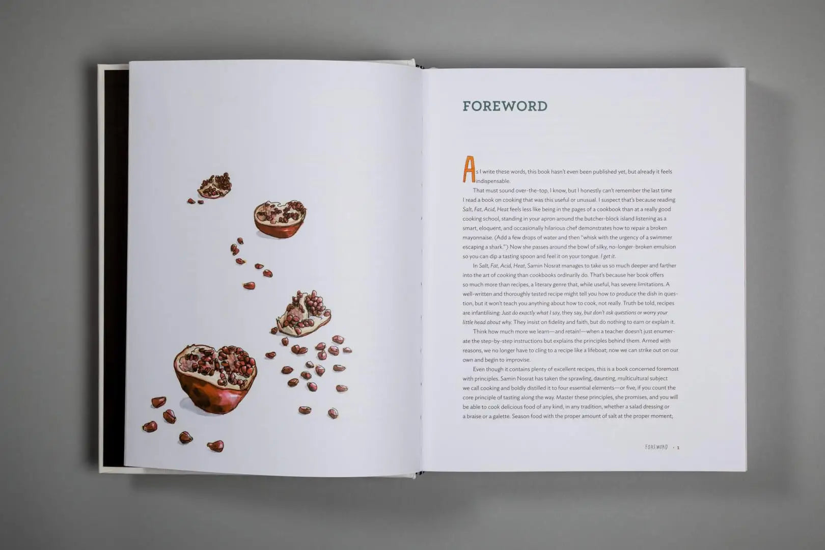 Salt – Fat, Acid, Heat: Mastering the Elements of Good Cooking