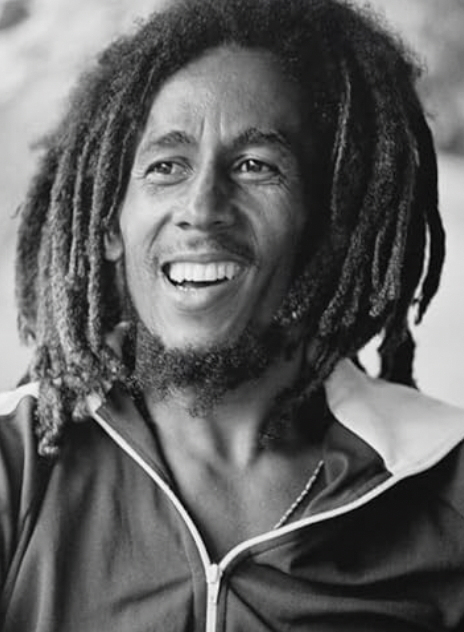 Rebel Music: Bob Marley & Roots Reggae,