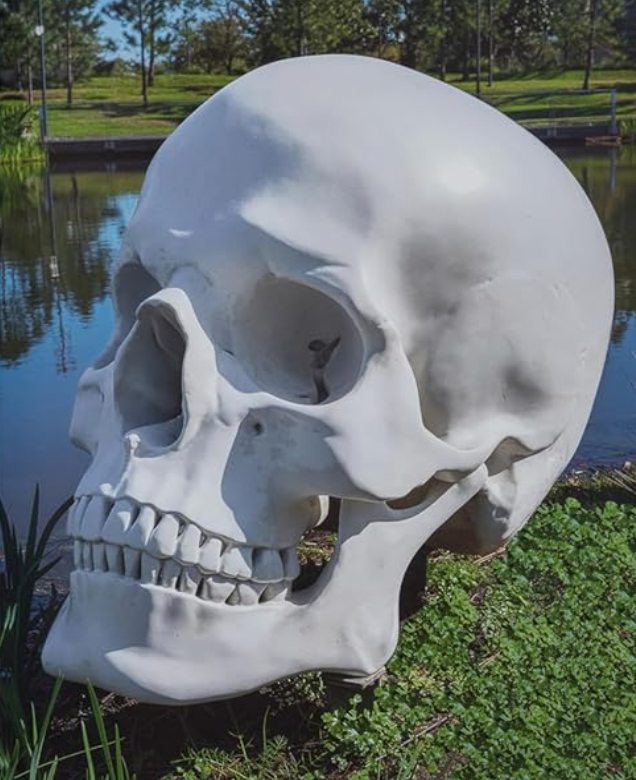 Where Art Meets Nature: The Sydney and Walda Besthoff Sculpture Garden