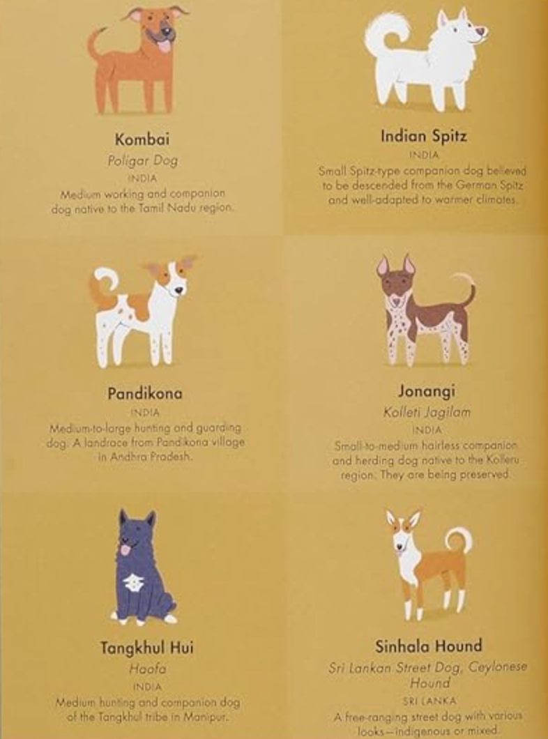 Dogs of the World: An Illustrated Compendium Lili Chin