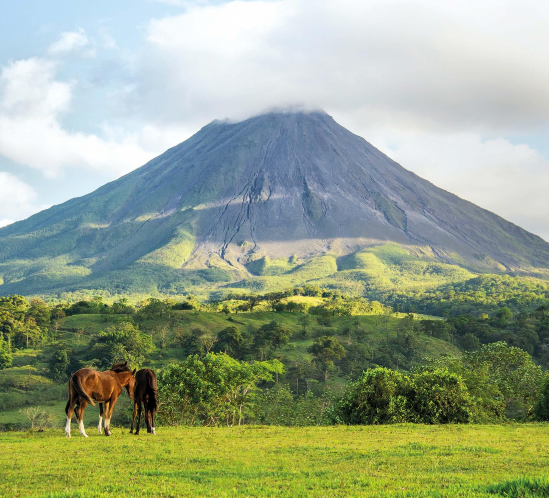 Lonely Planet Dream Trips of the World