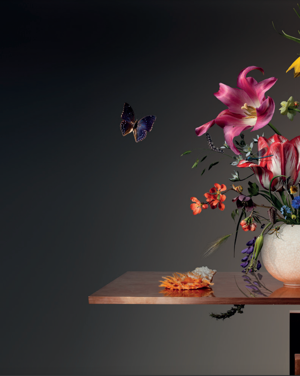 Flower Pieces: A photographic journey around the world