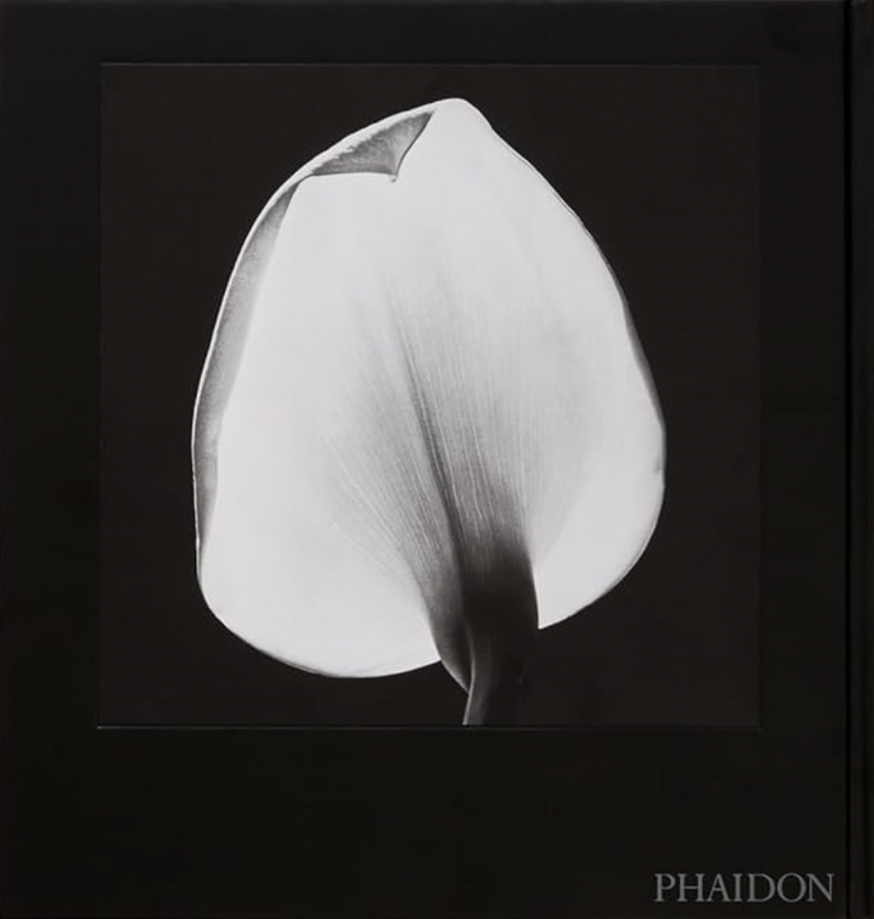 Mapplethorpe Flora