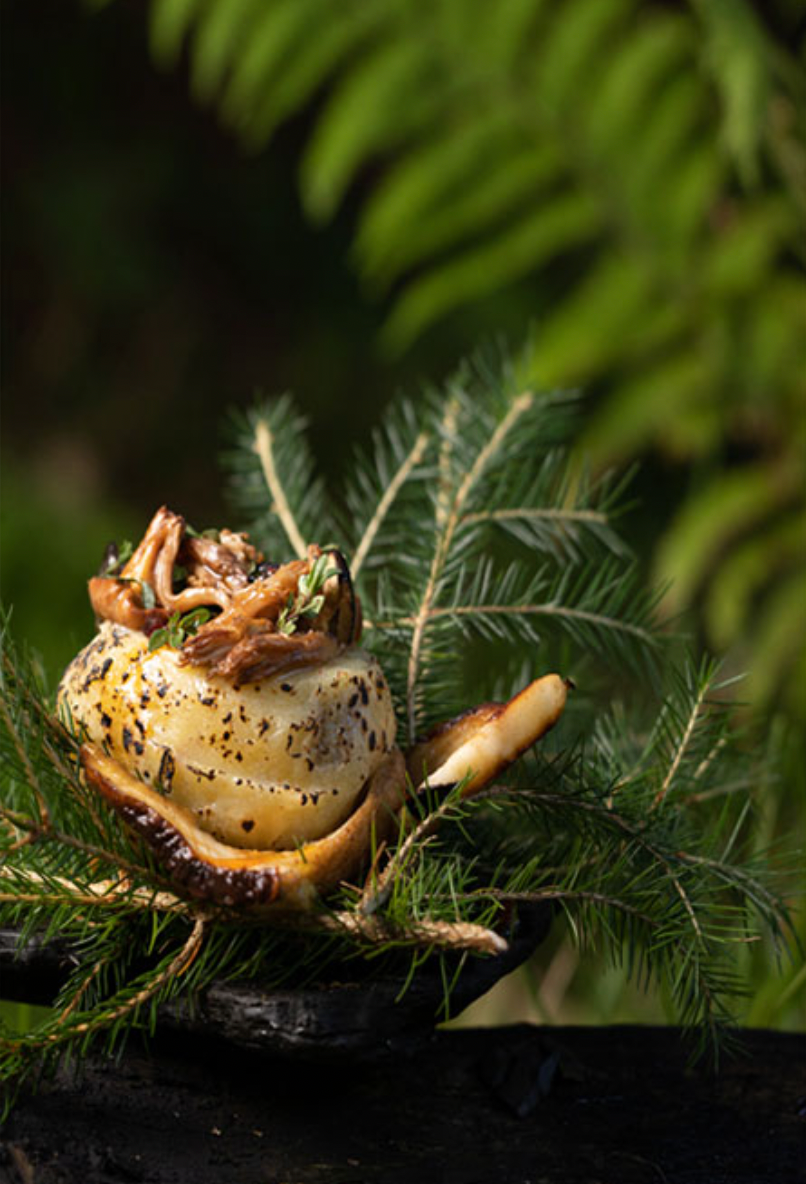 Cooking in the Wild