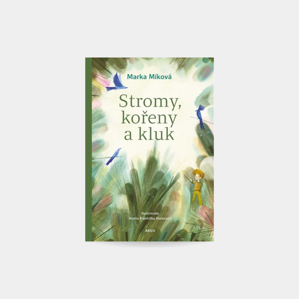 Stromy, kořeny a kluk