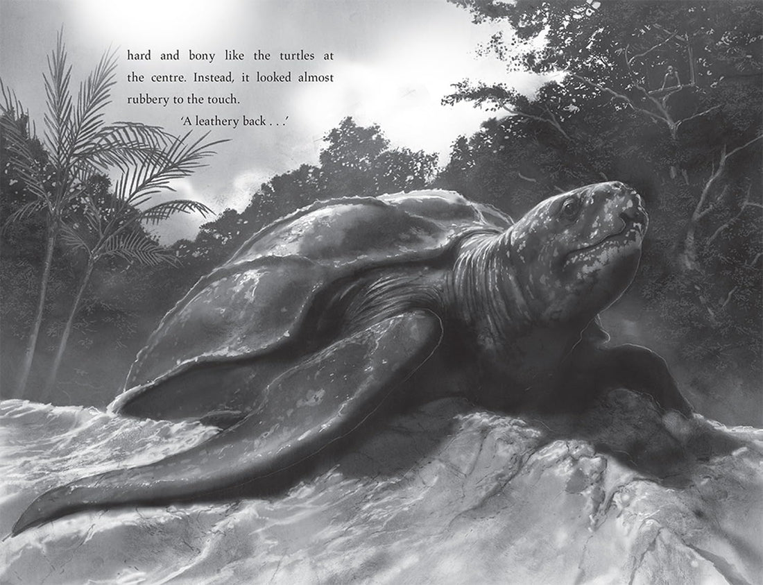 *Turtle Moon , Hannah Gold PB