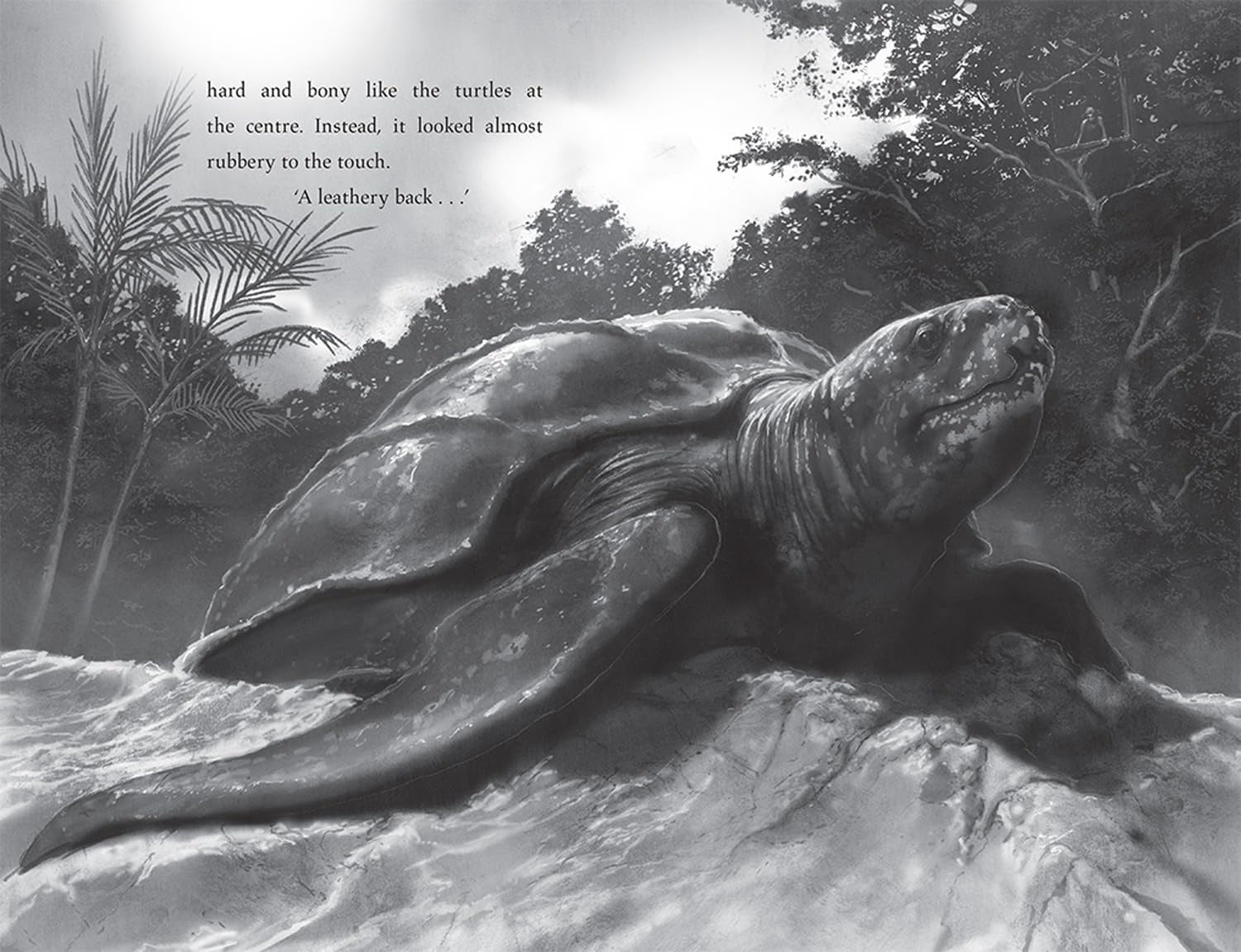 *Turtle Moon , Hannah Gold PB