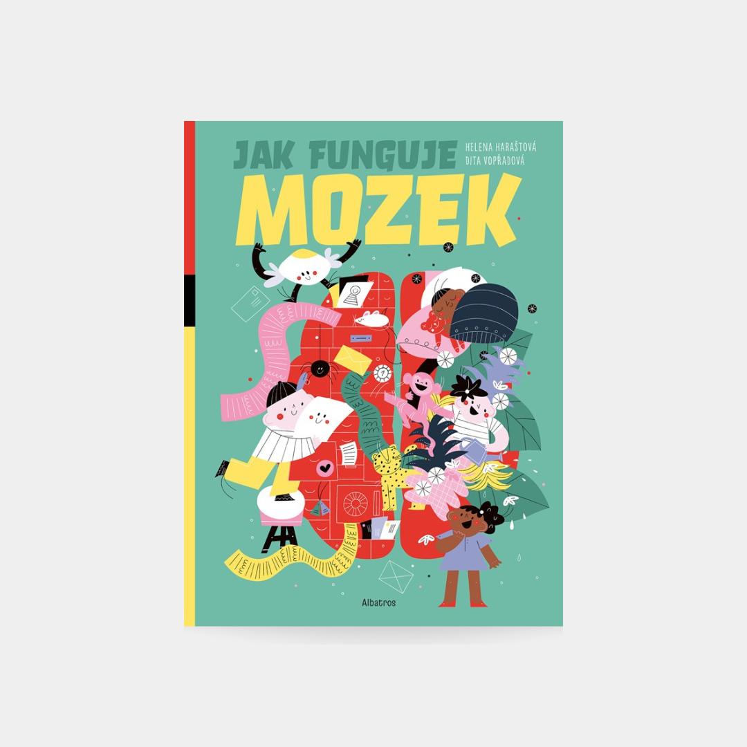 Jak funguje mozek?