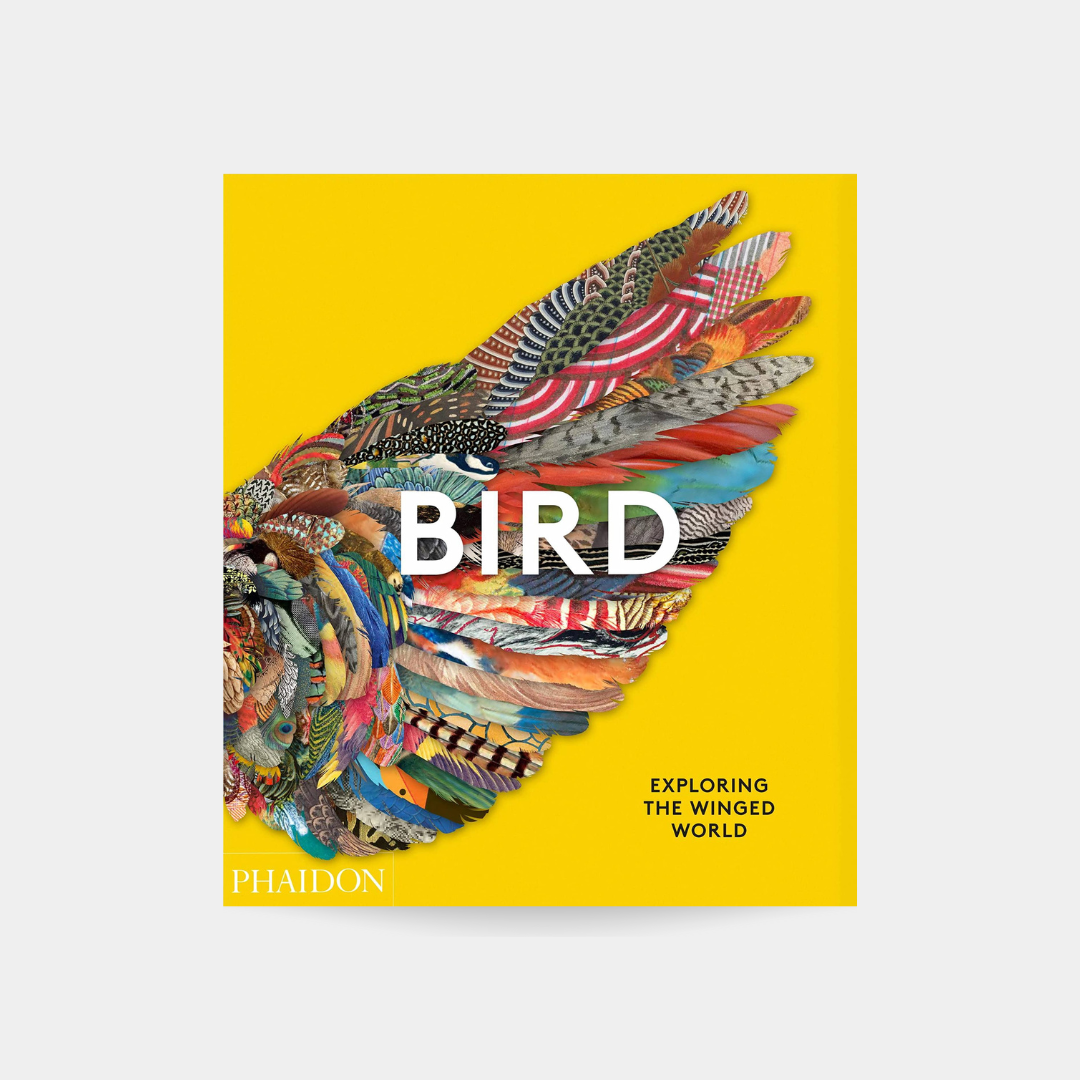 Bird: Exploring the Winged World