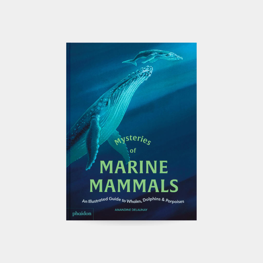 Mysteries of Marine Mammals