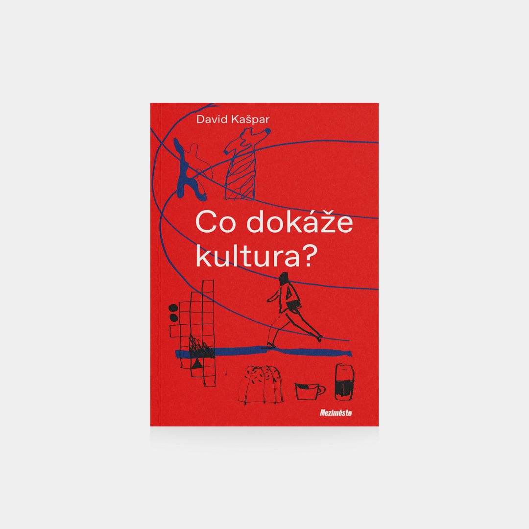 Co dokáže kultura - David Kašpar