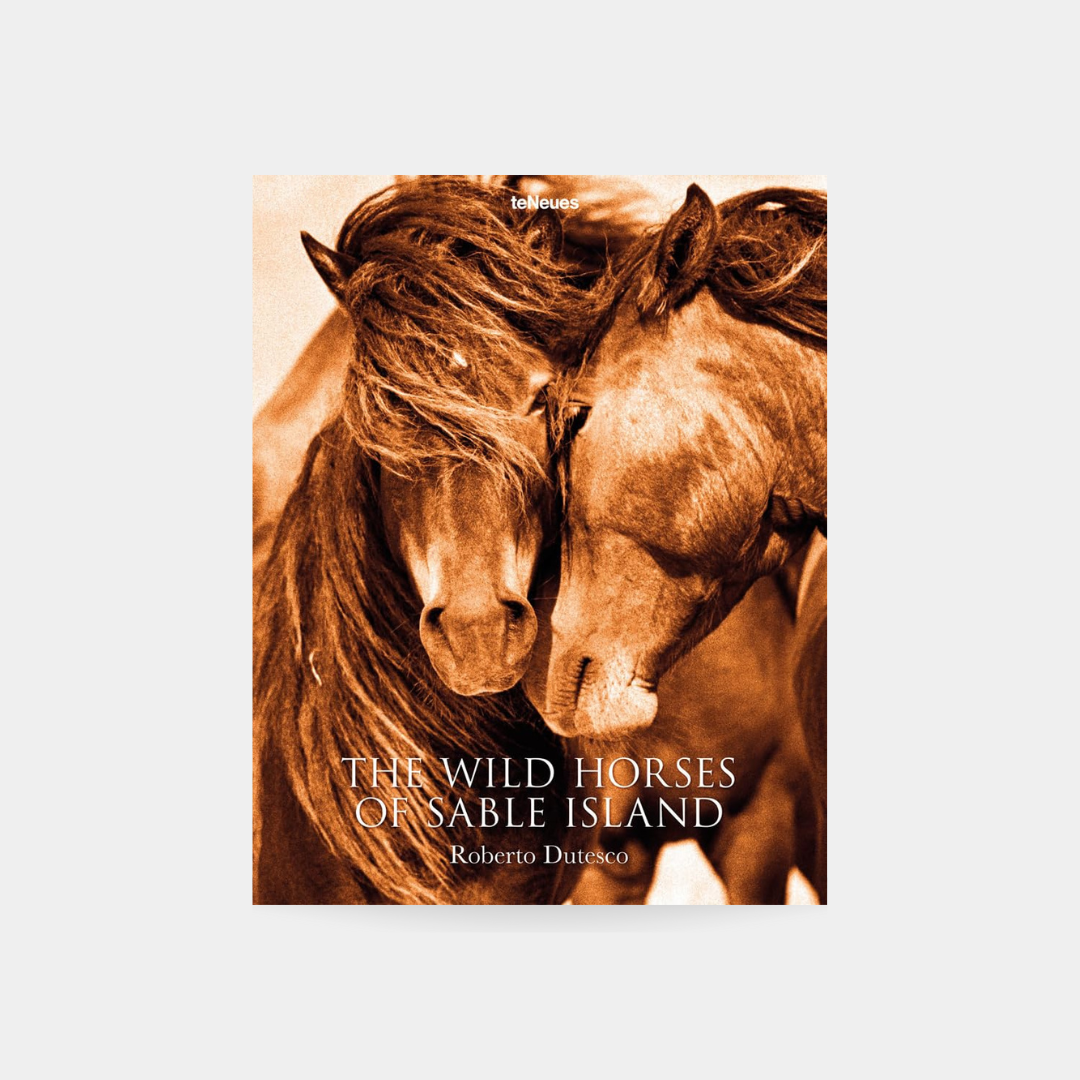 The Wild Horses of Sable Island