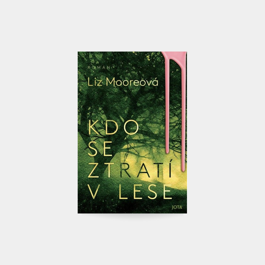 Kdo se ztratí v lese - Liz Moore