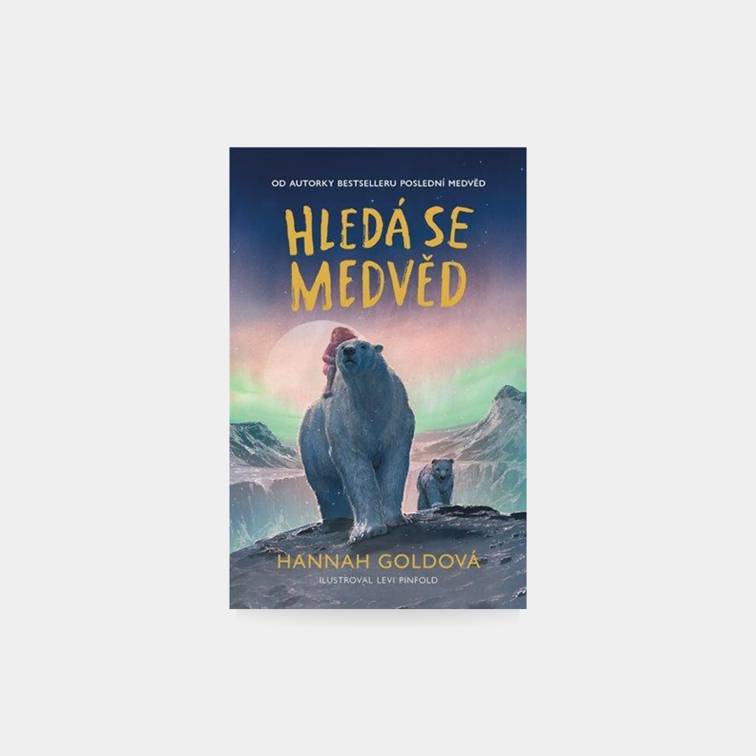 Hledá se medvěd - Hannah Goldová
