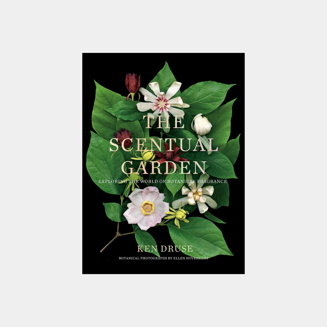 The Scentual Garden - Ken Druse