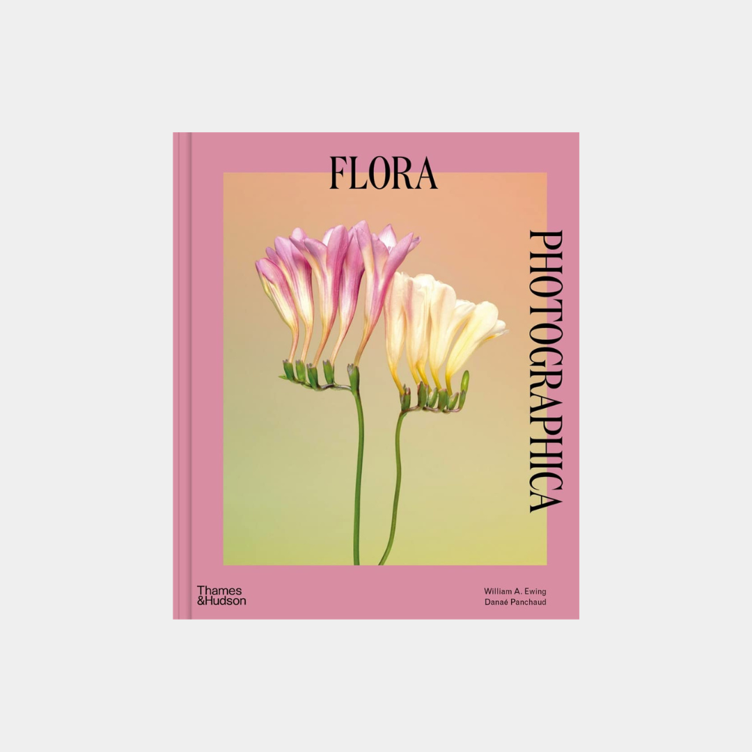 Flora Photographica: The Flower in Contemporary Photography