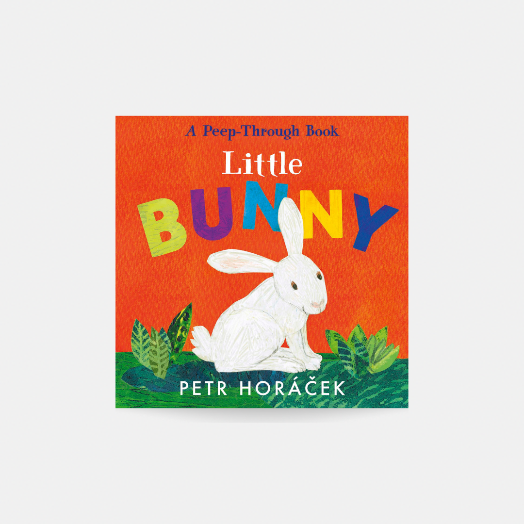 Little Bunny - Petr Horáček