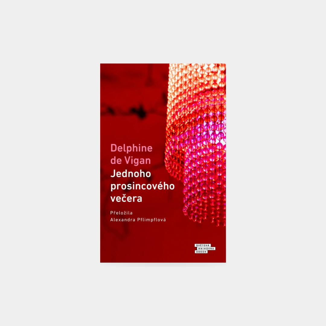 Jednoho prosincového večera - Delphine de Vigan