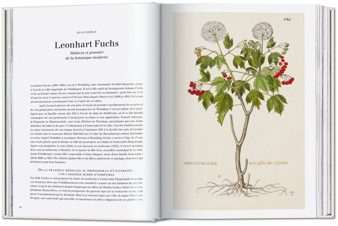 The New Herbal - Leonhart Fuchs