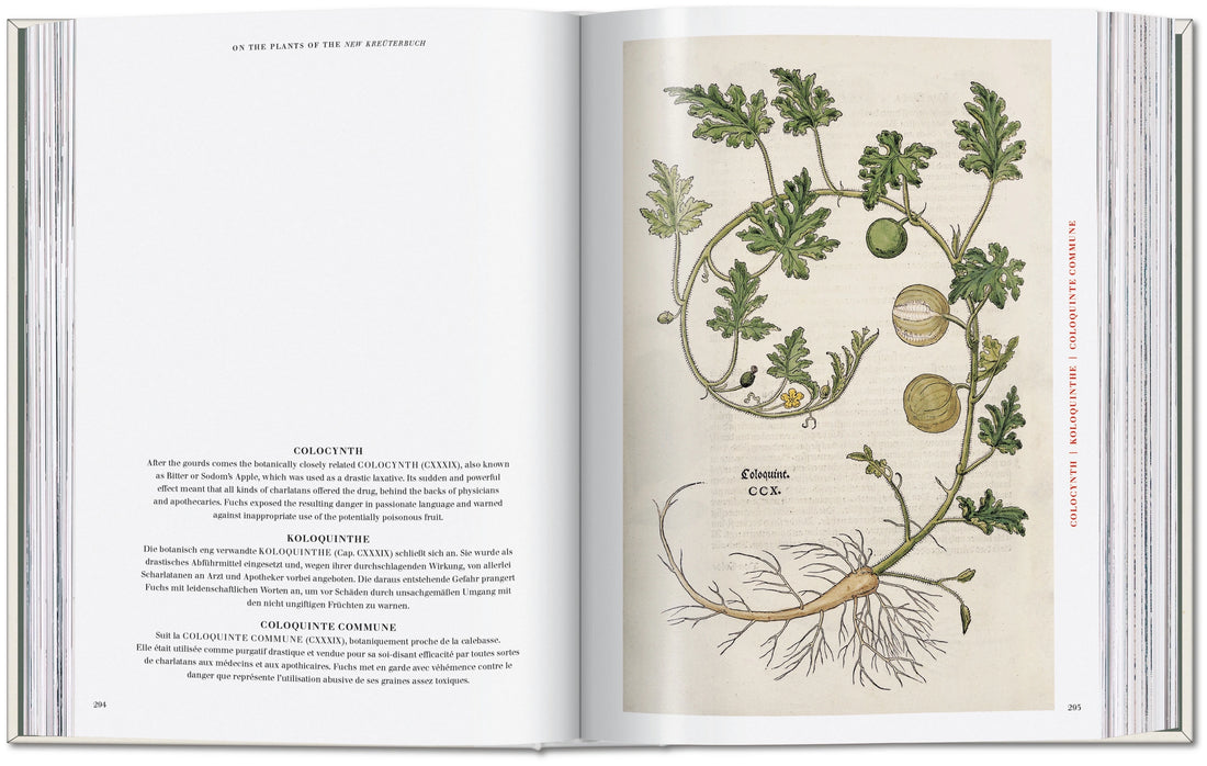 The New Herbal - Leonhart Fuchs