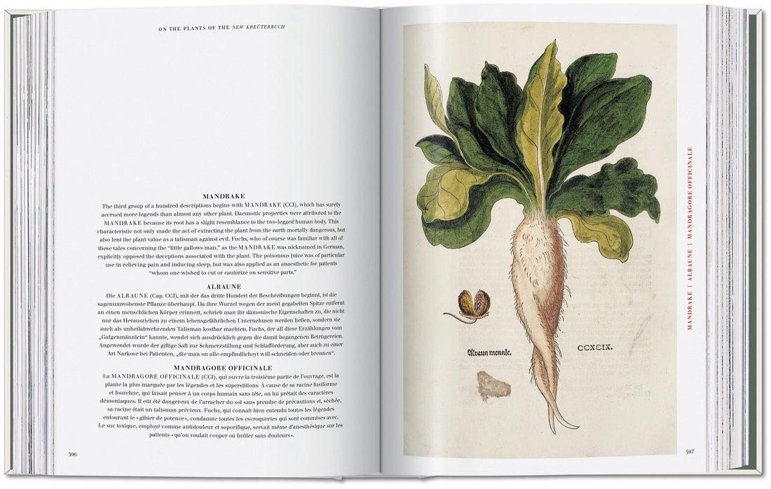 The New Herbal - Leonhart Fuchs