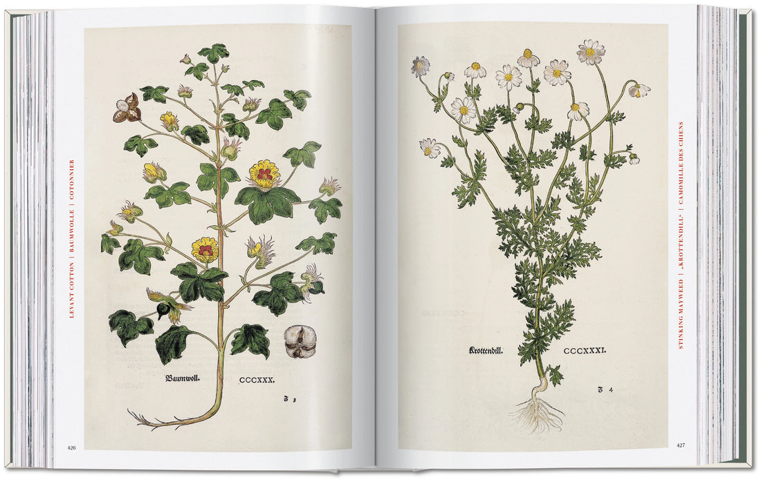 The New Herbal - Leonhart Fuchs