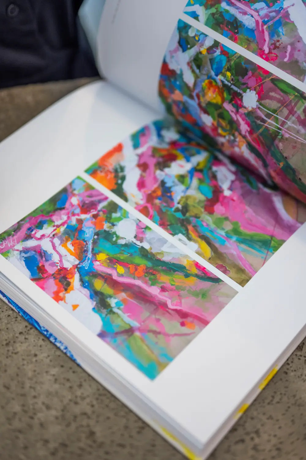 The Anatomy of Abstraction - Petra McGrath