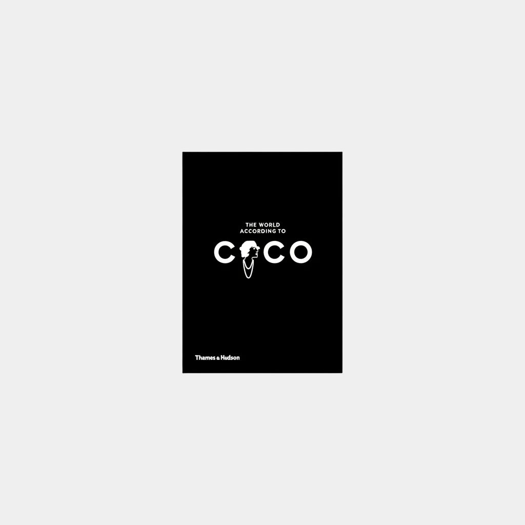 World According to Coco Obálka knihy Book Therapy