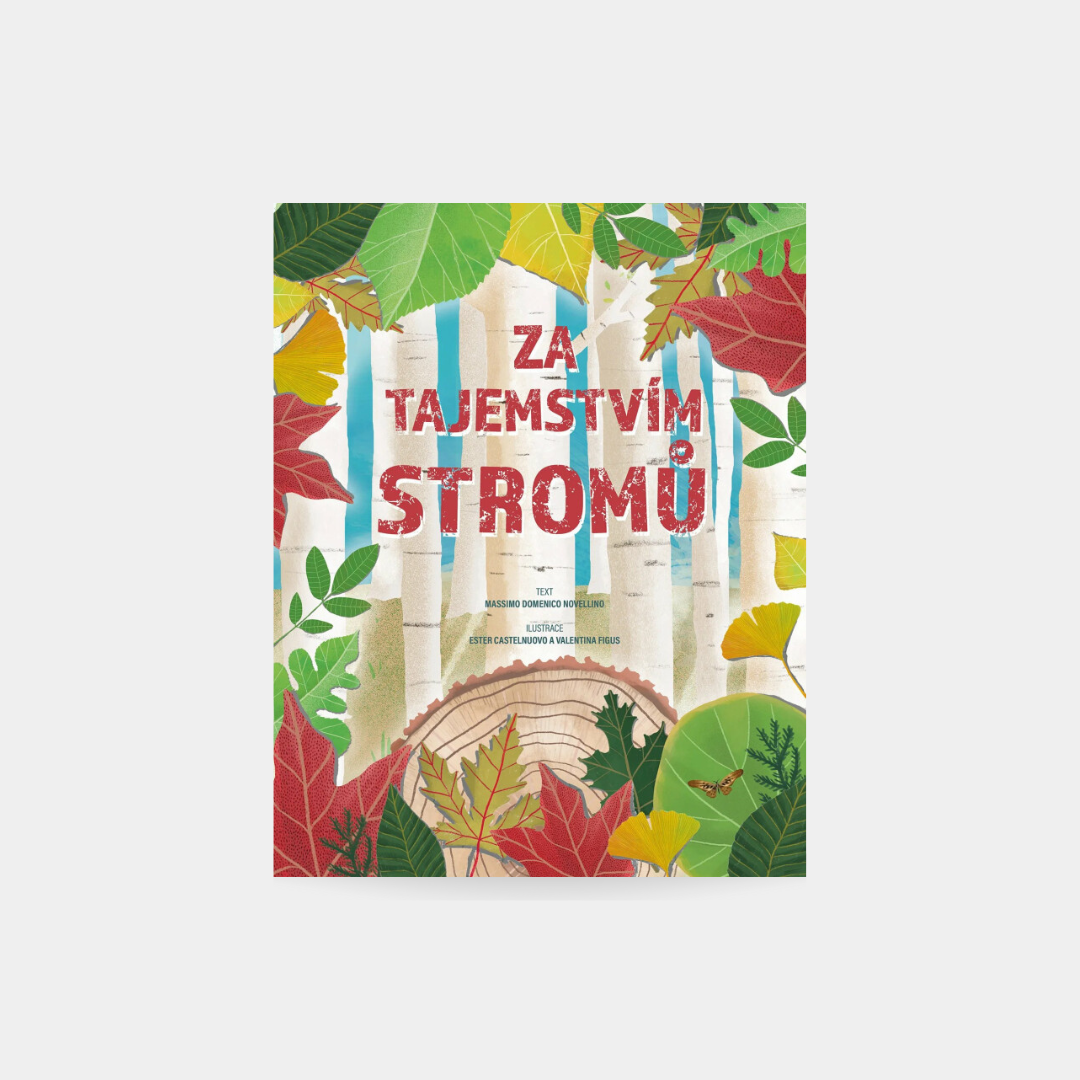 Za tajemstvím stromů
