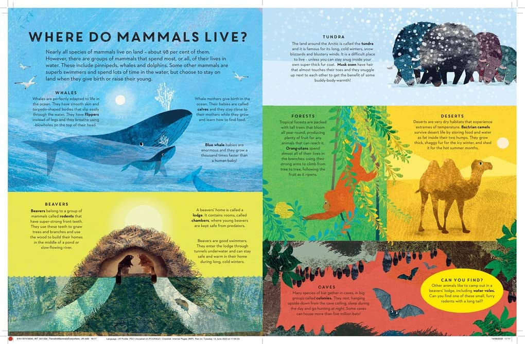 There are Mammals Everywhere